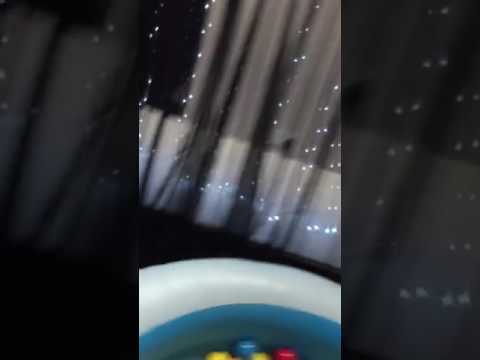 Funny video vine 2017; Guy falls in pool full of mouse traps!