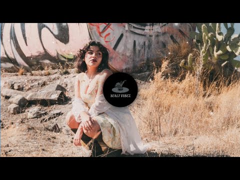 Fireboy, Chris Brown & Shenseea - Diana [M.R.K Remix]