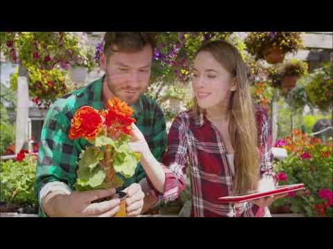 Play Video Youtube Video