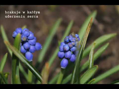 Z własnej inicjatywy - Tylko bądź przy mnie