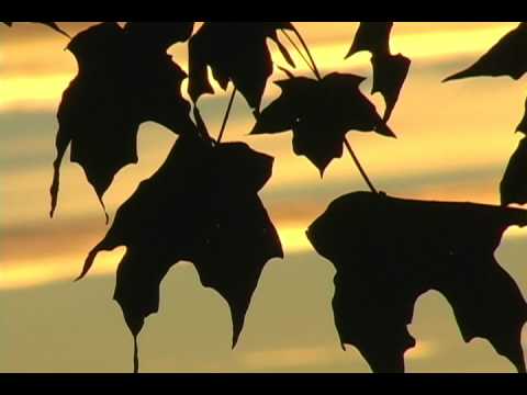 The Lord's Prayer Video