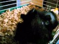 Stereo MC's --- Elevate My Mind ( I Wanna Go ...