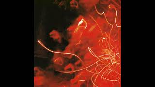 Bruce Cockburn - Put It In Your Heart (Instrumental)