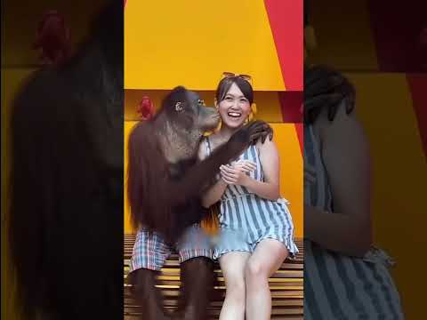 Nunca se sente ao lado de um MACACO! #curioso #incrivel #interessante