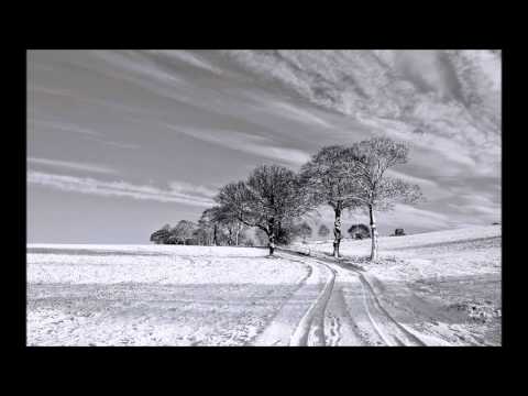 Matti Laamanen - Flakes (Original mix)