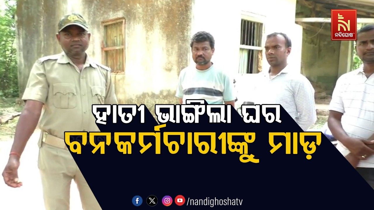 🔴Live | ହାତୀ ଭାଙ୍ଗିଲା ଘର, ବନକର୍ମଚାରୀଙ୍କୁ ମାଡ଼