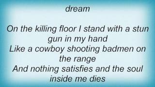 Richard Thompson - I Still Dream Lyrics