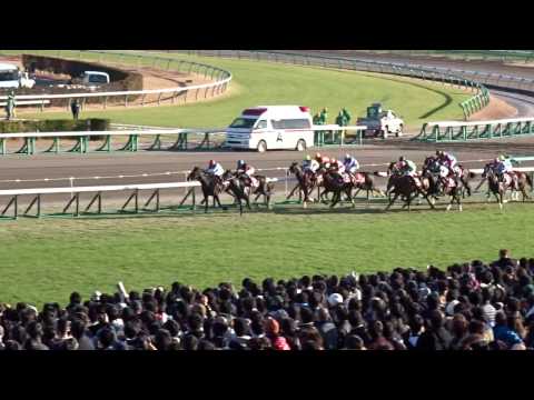 ホープフルS　2016　レイデオロ