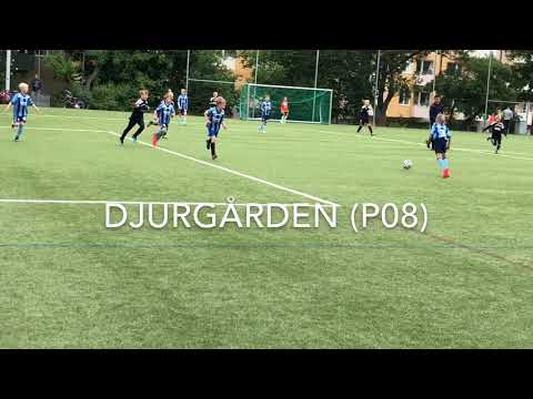 Stadshagens Nationaldagscup 2018 - Sollentuna P08