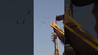 Download lagu Foto menakjubkan perburuan burung myna #berburu #burung #ketapel #celana pendek #ytshorts #youtube mp3