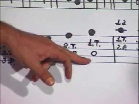 Ud Çalmayı Öğreniyorum / I'm Learning the Oud - (Alıntı / Excerpt)