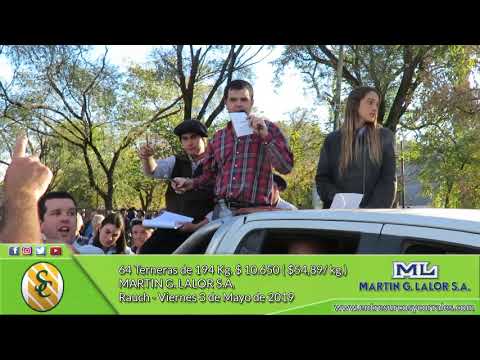 03-05-19 - Venta de Hembras - Martin G. Lalor S.A. - Rauch