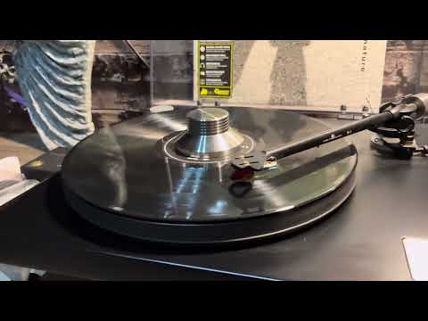 Víctor SX-521 sonando Steely Dan #audiófilo #audiohifi #victorsx 