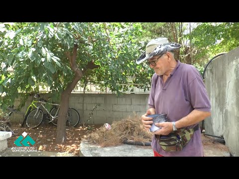 Imprenditore turistico investe negli anni ‘70 a Montegiordano, ora vive di reddito di cittadinanza