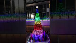 JRゲートタワーのクリスマスツリーを上から撮影した