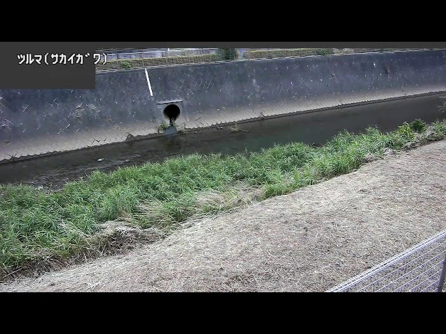 鶴間映像監視局