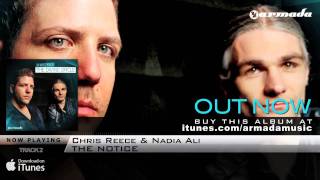 Chris Reece - The Divine Circle (Official Album Trailer)