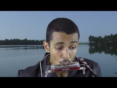 REUBEN JASON MACHADO despacito harmonica and guitar