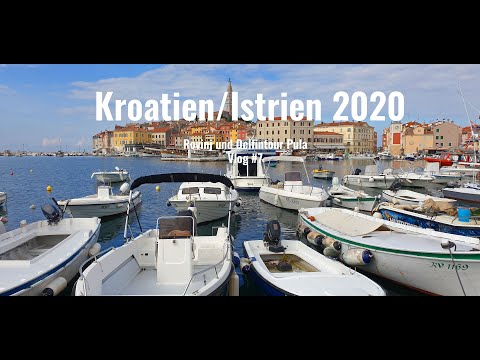 Kroatien/Istrien 2020 Rovinj und Delfintour Vlog#7
