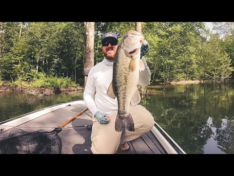 download lagu mp3 mp4 Patoka Lake, download lagu Patoka Lake gratis, unduh video klip Patoka Lake