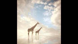 Arve Henriksen - Migration