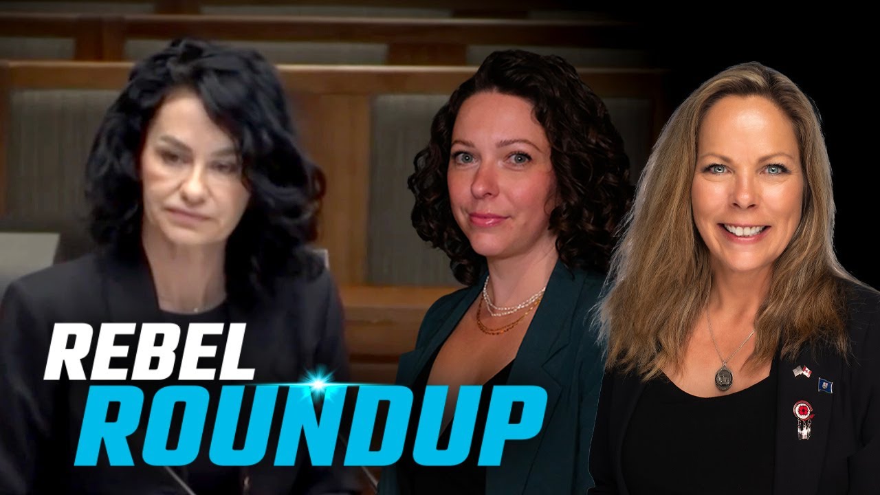 Rebel at Heritage Committee, Climate change & civil collapse, Pride founder charged | Rebel Roundup