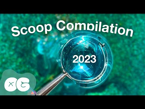 Scooping Slimes is Our Favorite Past Time 🥄