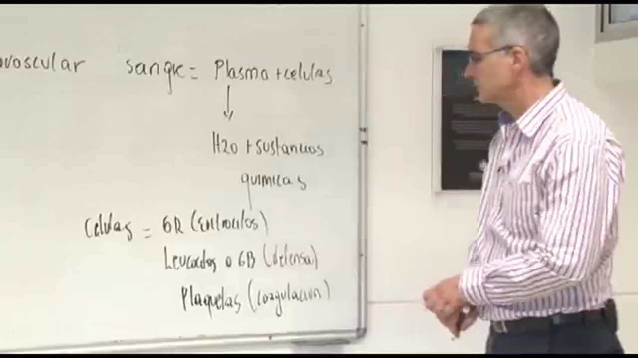 2. Fisiología - Compartimentos Corporales