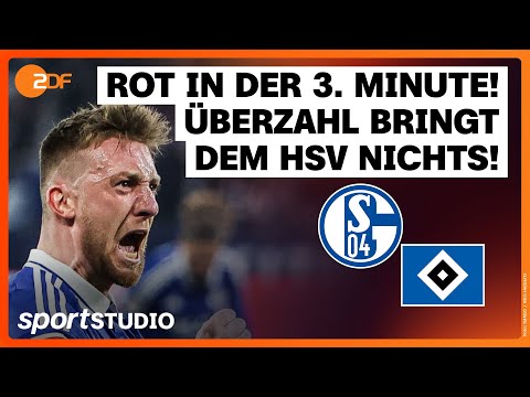 FC Schalke 04 – Hamburger SV | 2. Bundesliga, 30. Spieltag 2024/25 | sportstudio