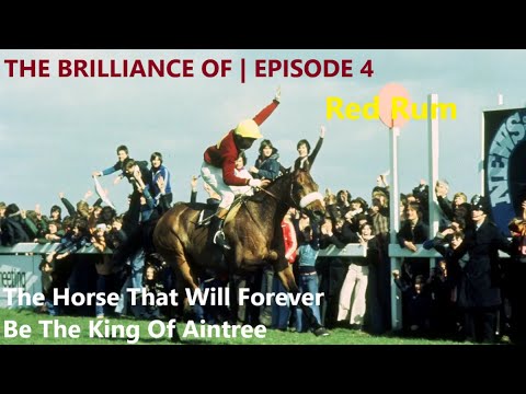 The Brilliance Of Red Rum | The Horse That Will Forever Be The King Of Aintree