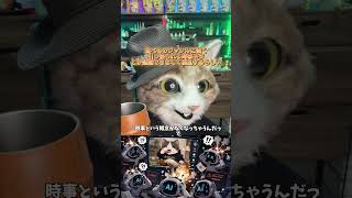 ネット社会と暮らしのニュース解説系猫がAIに3,4万円払ってTIKTOK様にご飯を食べるなと嫌がらせをされていた理由を知る　#ねこ