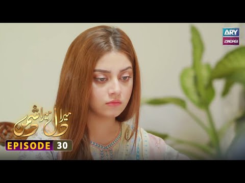 Mera Dil Mera Dushman Episode 30 | ARY Zindagi