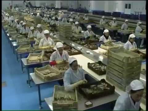 Tradición y Calidad - USISA