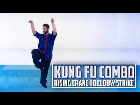 Kung Fu Combo - Rising Crane to Elbow Strike