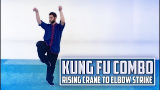 Kung Fu Combo - Rising Crane to Elbow Strike