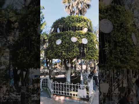 Alegría, Usulutan.  #alegria