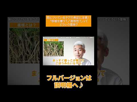 園芸 移植に関するよくある質問