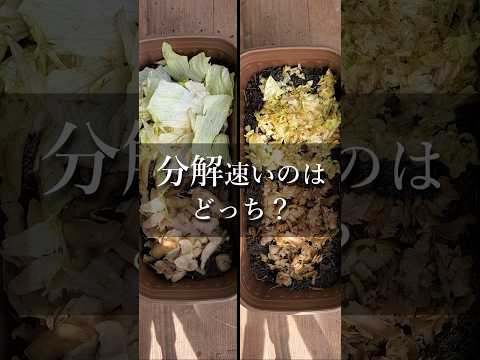 急いで知っておくべき堆肥に入れてはいけない14のこと  庭園