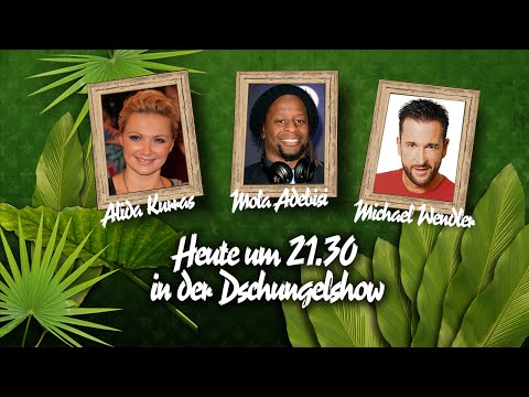 Die große BILD-Dschungelshow im Live-Stream - 26.01.2016