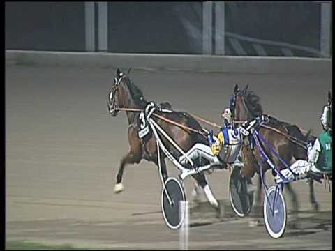 Trotto 27/12/2016 - 6ª corsa