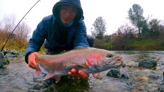 NEW TECHNIQUE UNLOCKED for Catching Steelhead
