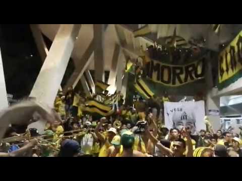 La fiesta bajo tribuna, Bucaramanga vs. Millonarios - PLAY OFF, FORTALEZA LEOPARDA SUR 2017