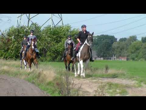 Wanderritt 2018 - Neuenburger Freizeitreiter