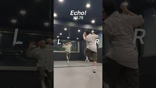 호시X우지 - Echo! l Dance Tutorial l Mirrored l #echo #hoshi #woozi #wswf