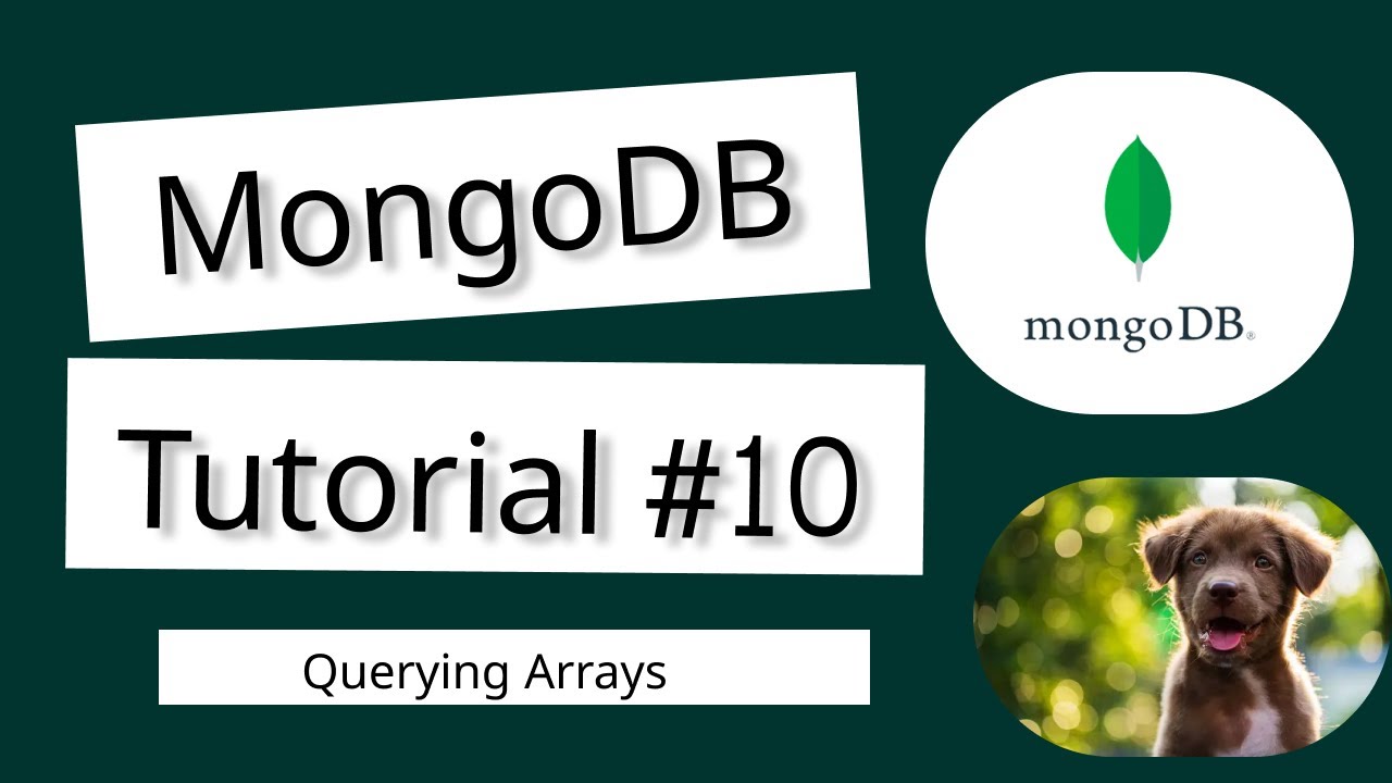 Complete MongoDB Tutorial #10 - Querying Arrays