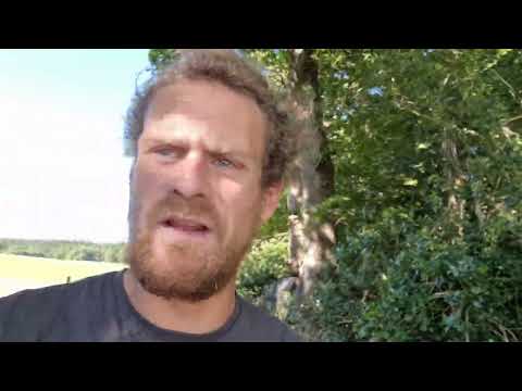 Building our log cabin, 🙌 it's been emotional and overwhelming #offgrid #homestead