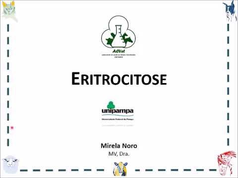 Eritrocitoses - Policitemias