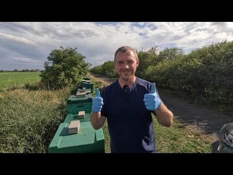 Die Spreu vom Weizen trennen