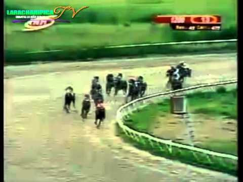 VALENCIA 13 CARRERA VIERNES 05 DE SEPTIEMBRE DEL 2014