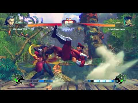 SF4 09.10.15 Bison 1